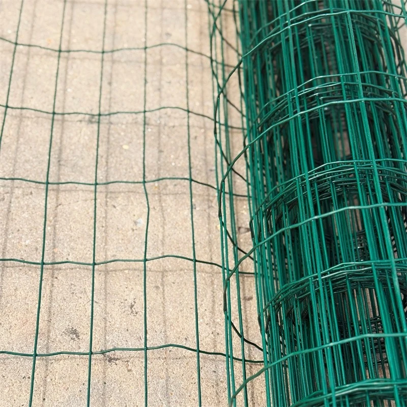 Plastic Coated Wire Mesh best